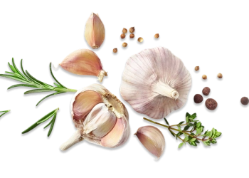 Garlic Banner